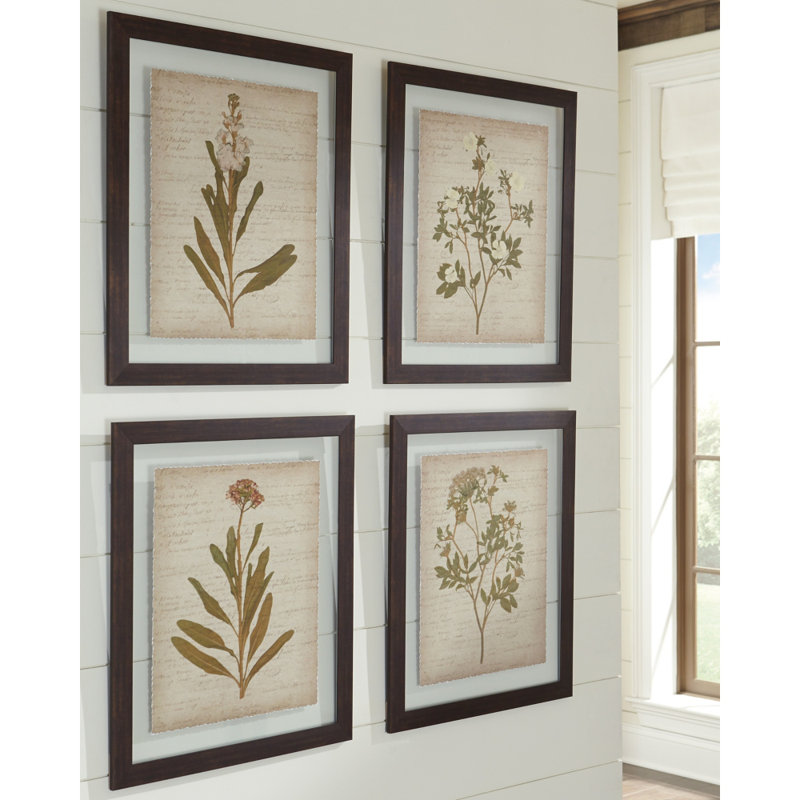 4 Piece Framed Painting Print Set & Reviews Birch Lane